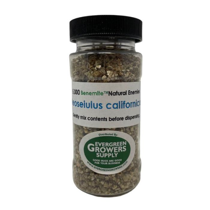 Neoseiulus californicus in Vermiculite