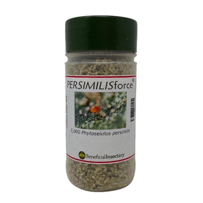 Phytoseiulus persimilis in vermiculite