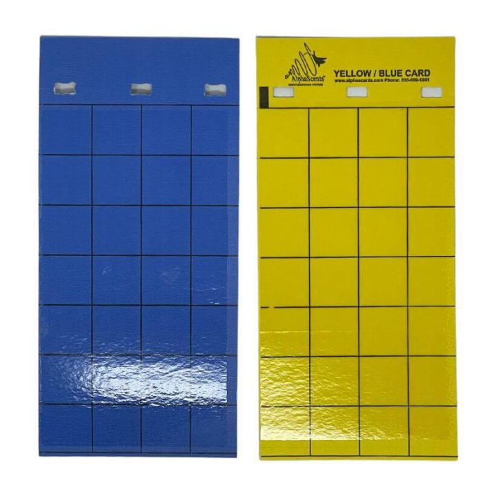 Blue & Yellow Sticky Card