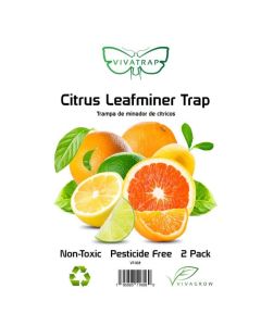 Citrus Leafminer Trap - 2 pack