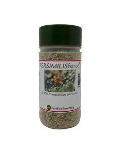 Phytoseiulus persimilis in vermiculite