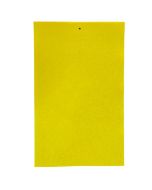 Yellow Sticky Cards 10x16 inches